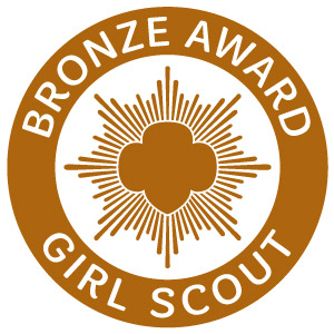 Bronze Award icon