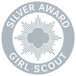 Silver Award icon