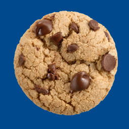 Gluten-free Chocolate Chip Cookie