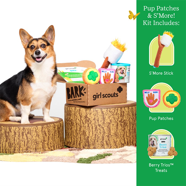 Bark Box - Pup Patches & S'more Kit
