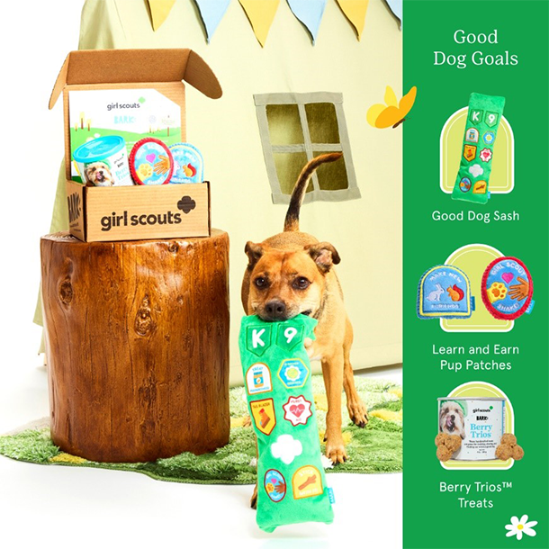 Bark Box - Good Dog Goals Kit