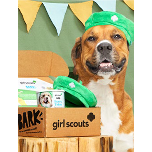 Dog with Girl Scout Beret