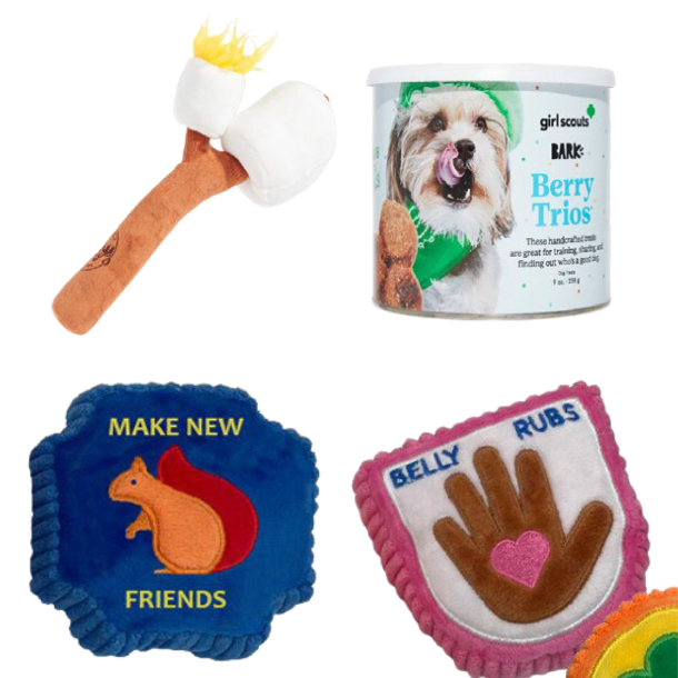 S’mores stick toy, pup patches toys and treats.